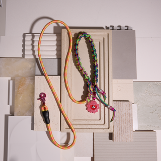 The Optimist — One-of-One Dog Lead