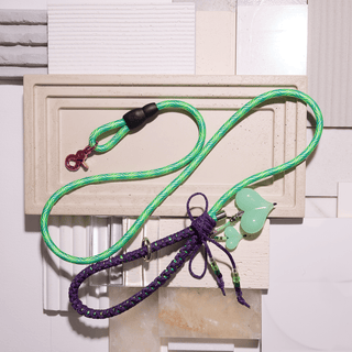 The Adventurer— One-of-One Dog Lead