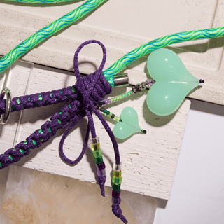 The Adventurer— One-of-One Dog Lead