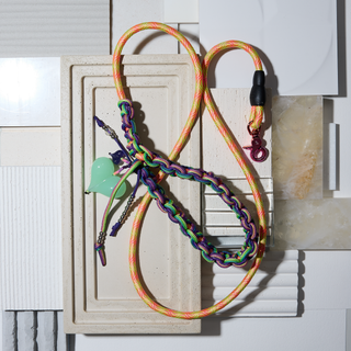 The Party Animal — One-of-One Dog Lead