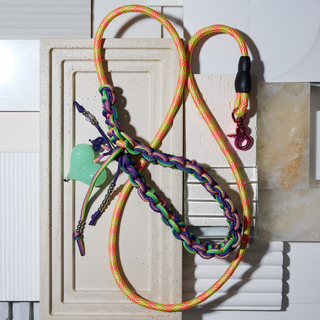 The Party Animal — One-of-One Dog Lead