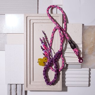 The Lucky Duck — One-of-One Dog Lead