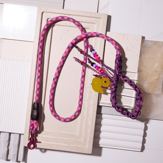 The Lucky Duck — One-of-One Dog Lead